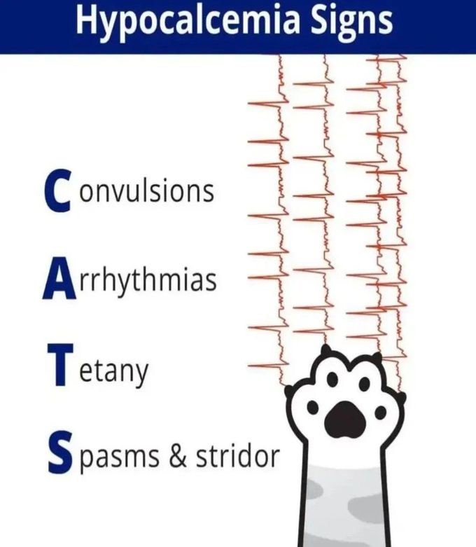 Hypocalcaemia