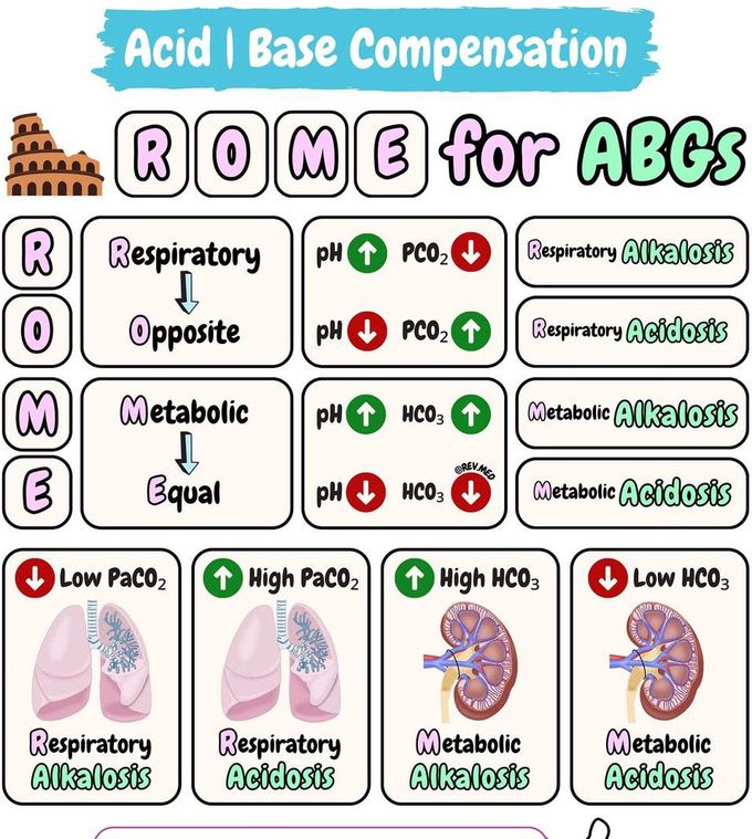 Acid Base Compensation