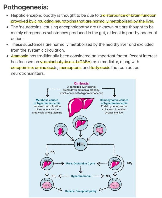 Hepatic Encephalopathy II