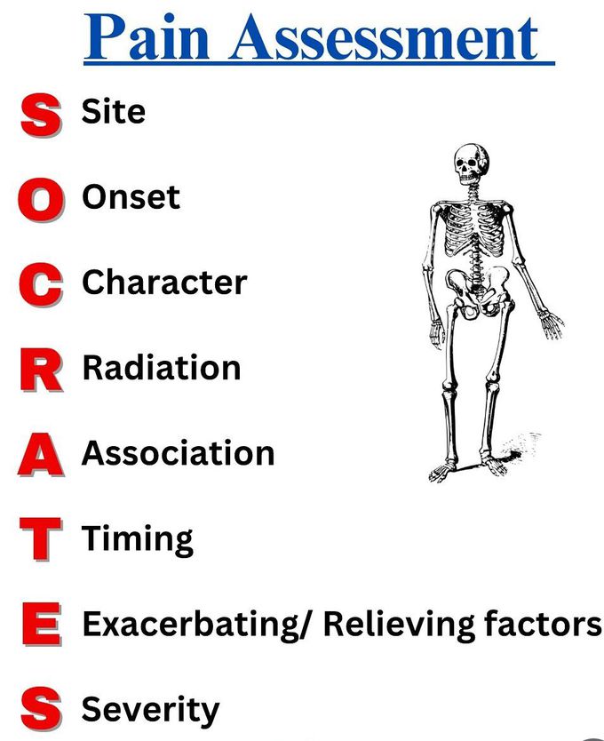 Pain Assessment