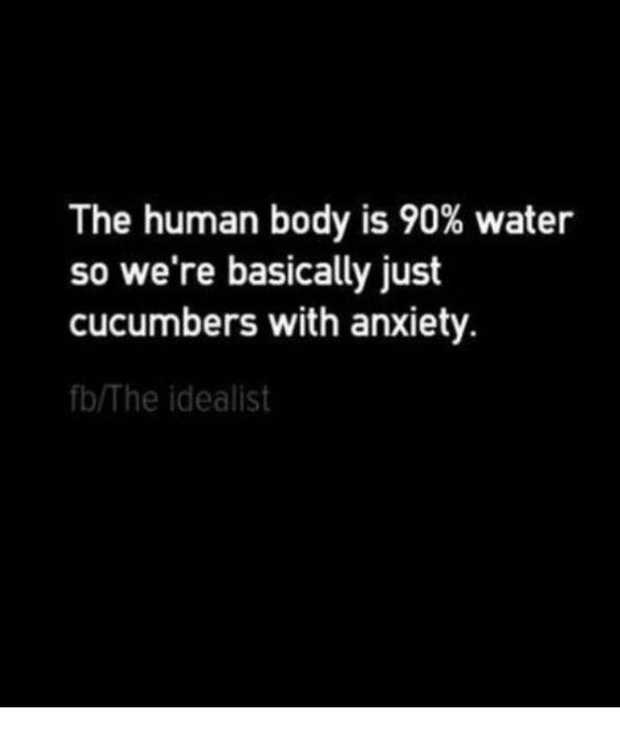 Cucumber