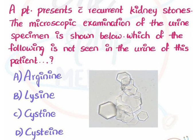 Identify the Amino Acid