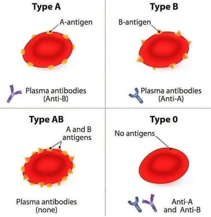 Types of Blood group
