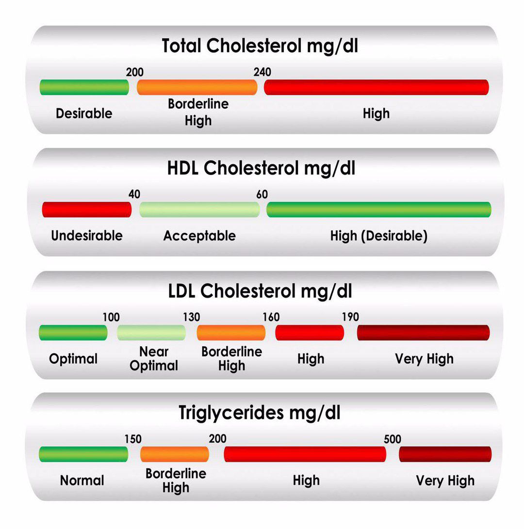 Levels Of Lipids Medizzy 6566