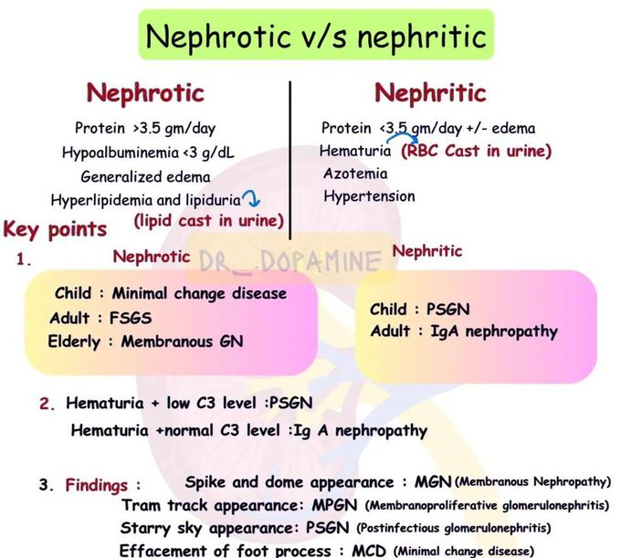 Nephrotic Vs Nephrotic Syndrome I