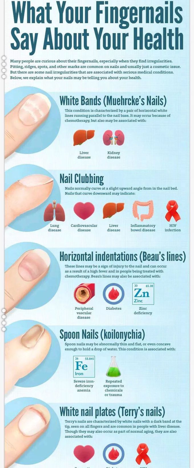 Nail Health Chart: Common Problems and Treatment