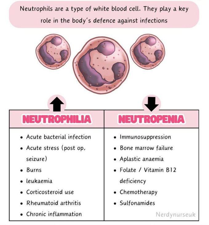 Neutrophilia Vs Neutropenia