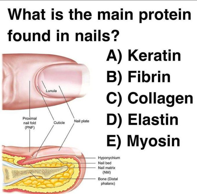 Question of the day