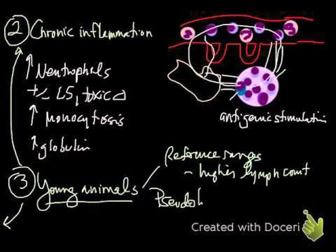 Brief description of Lymphocytosis