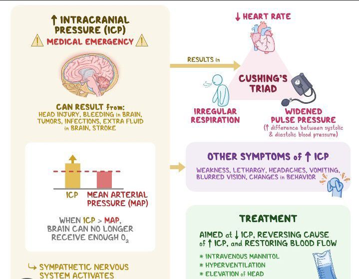 Symptoms of Increased intracranial pressure - MEDizzy