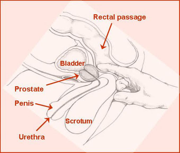 DRE digital rectal examination