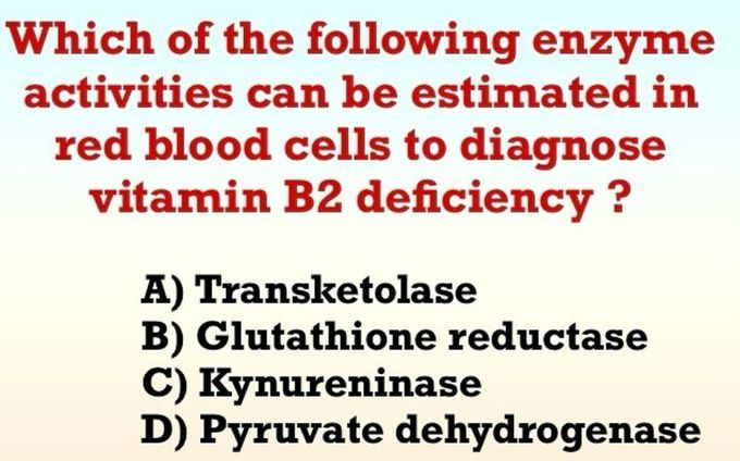 Enzyme Activity