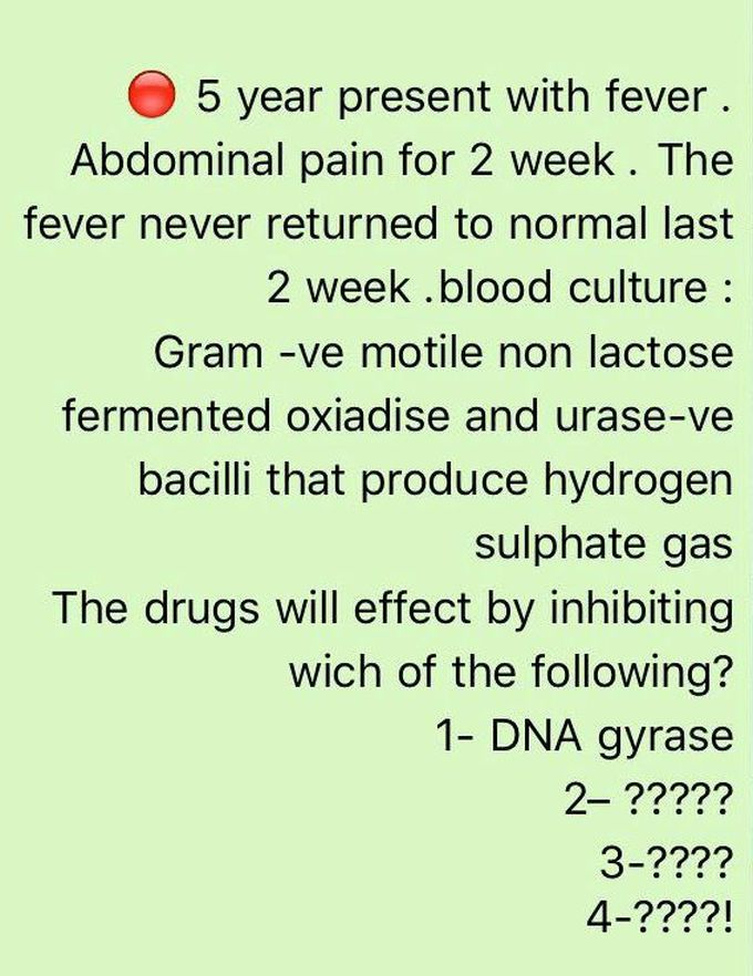 Diagnosis what is the organism ?