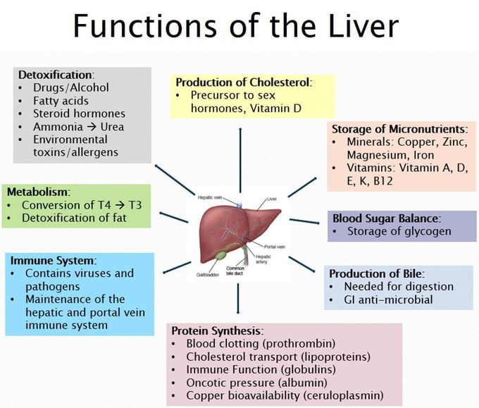 Functions of platelets.