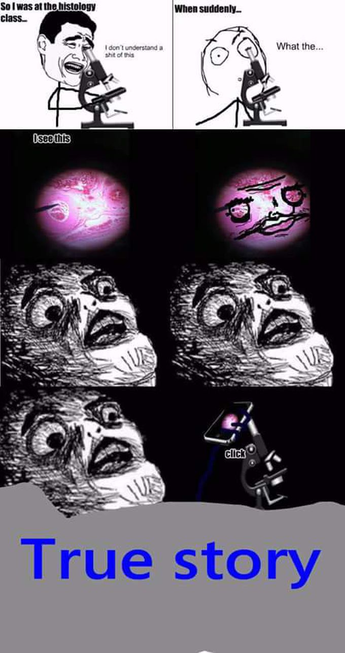 Histology