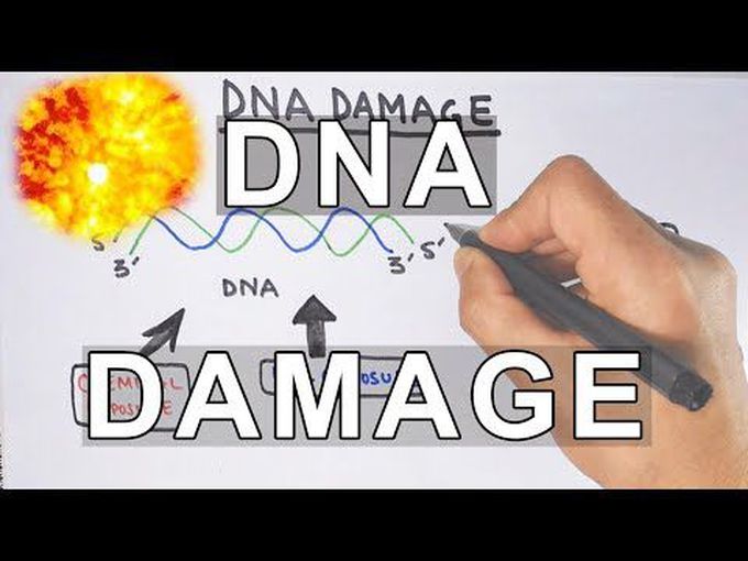 DNA Damage-I
