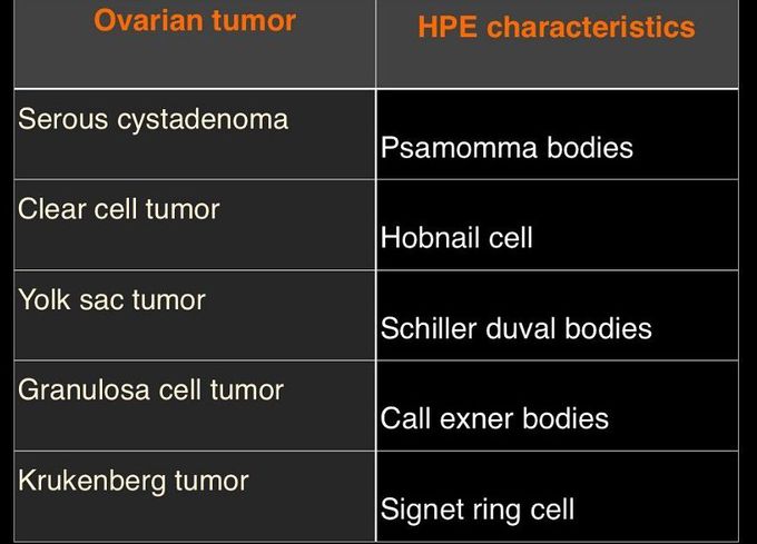 Ovarian Tumour