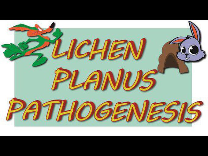 Chronic dermatosis - Lichen planus