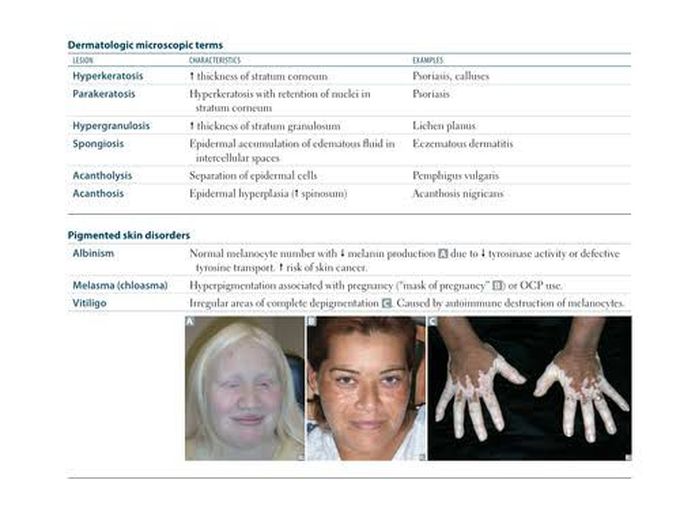 Dermatological Microscopic Terms