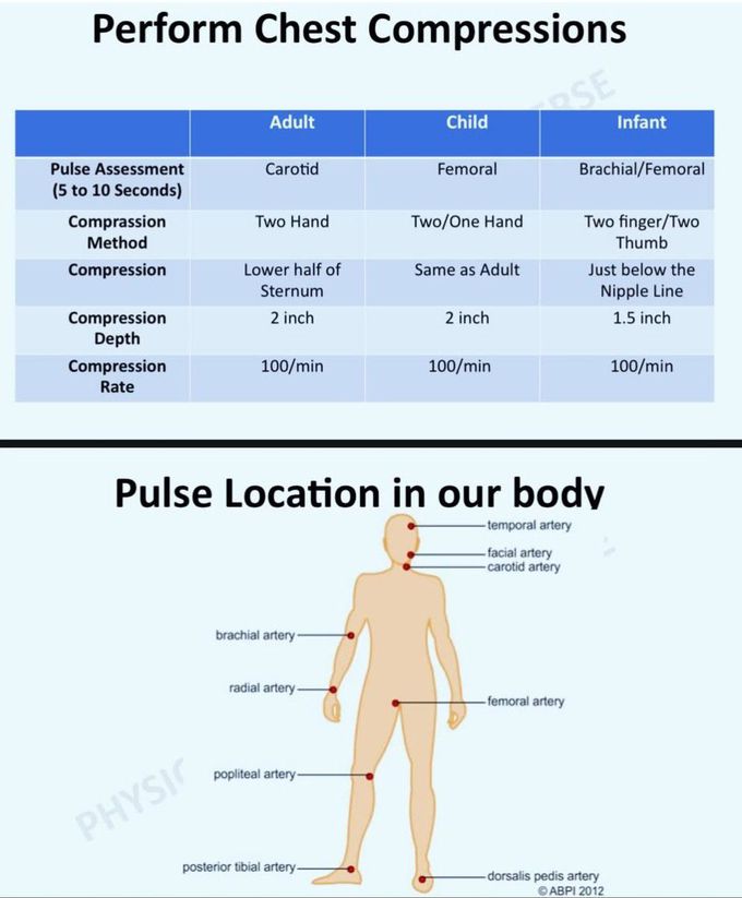 Cardiopulmonary Resuscitation III