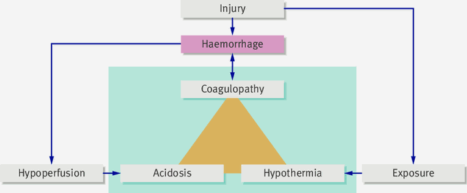 Lethal Triad