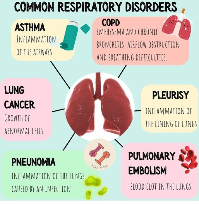 Common Respiratory Disorders