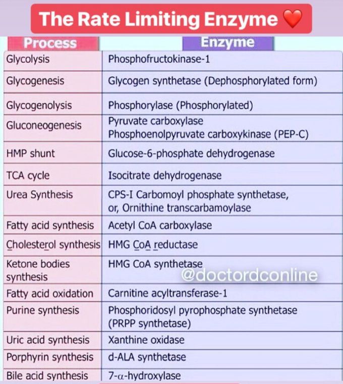 What Is Rate Limiting Enzymes Printable Templates Free