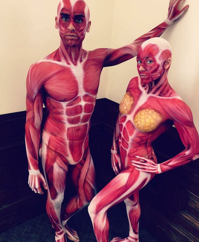 Muscular body