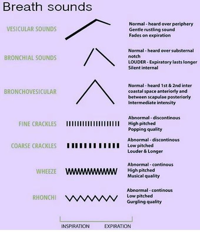 Normal and abnormal breath sounds.