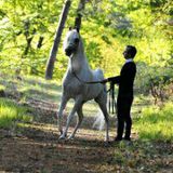 Khaled Hamed
