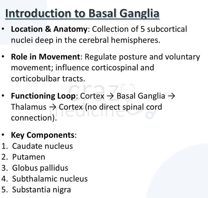 Basal Ganglia I