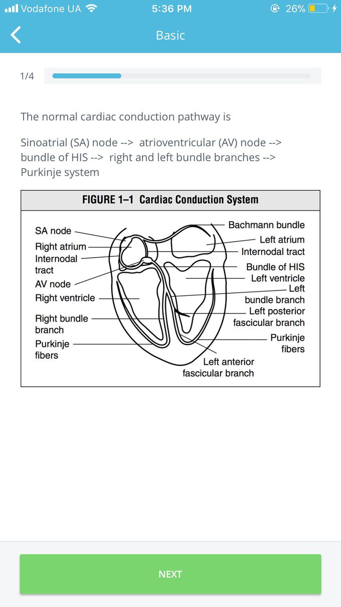 Learn ecg$&@