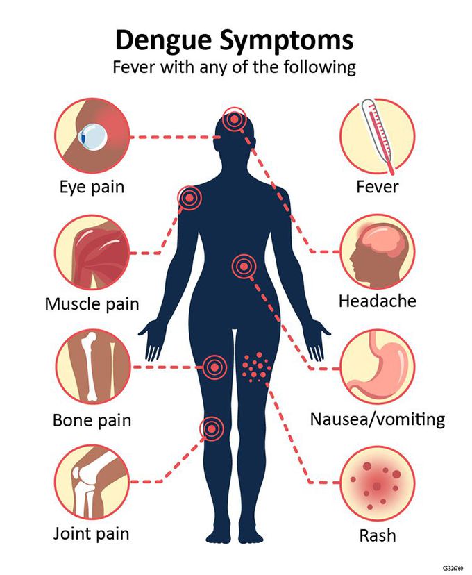 Symptoms of Dengue