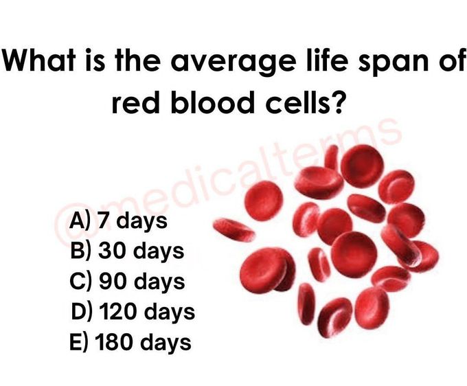 RBC- Life Span