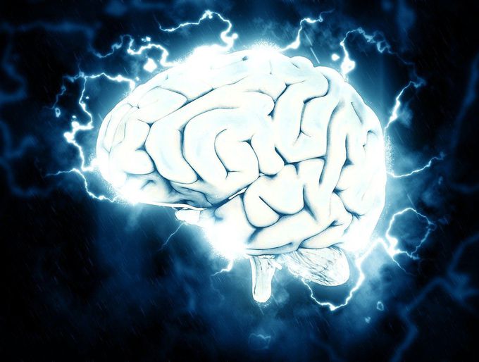 Brain-Repair Discovery Could Lead to New Epilepsy Treatments - Neuroscience News