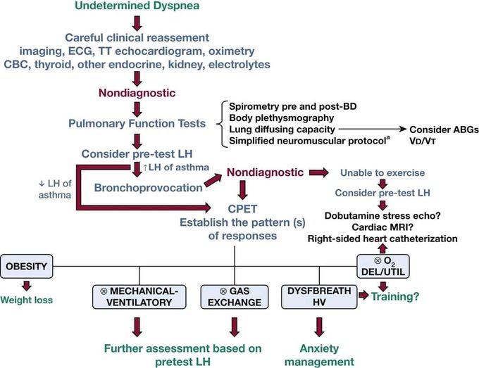 Dyspnea management chart