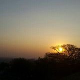 Dr. Shrinivas Wattamwar