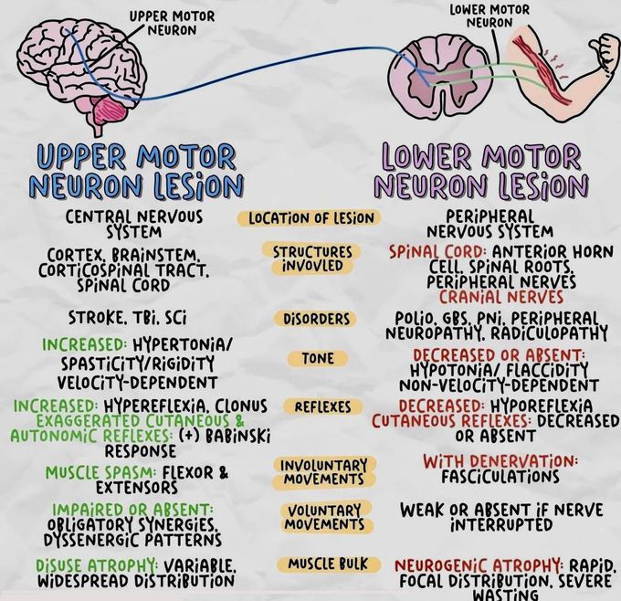 Neurology