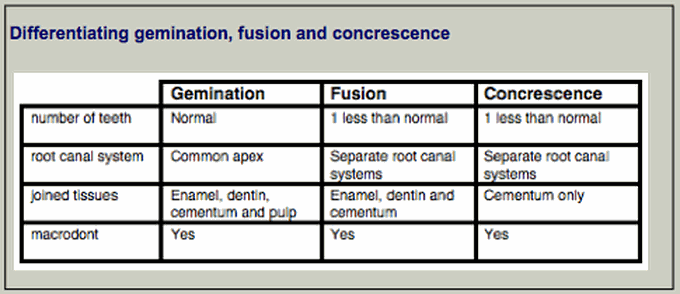 Gemination, Fusion and Concrescence