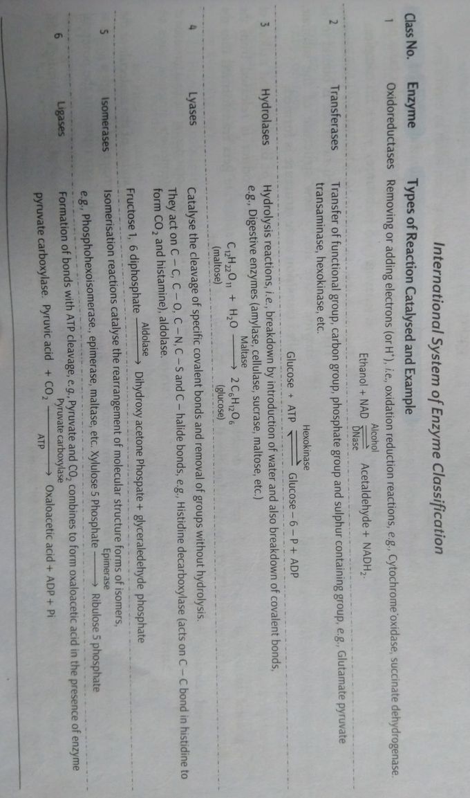 Enzyme classification