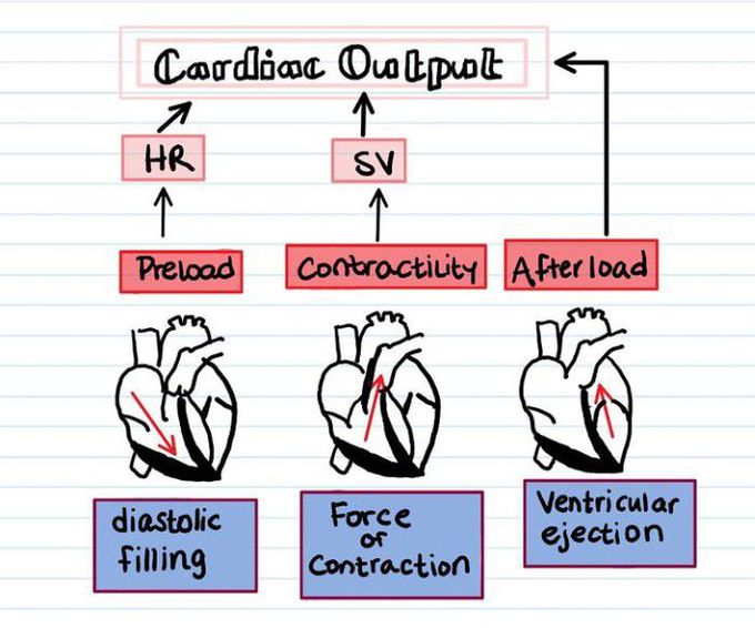 Cardiac output