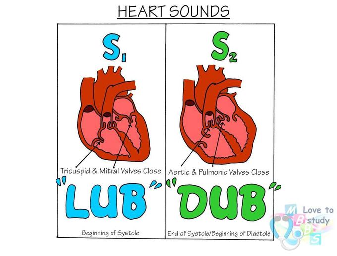 Heart sound