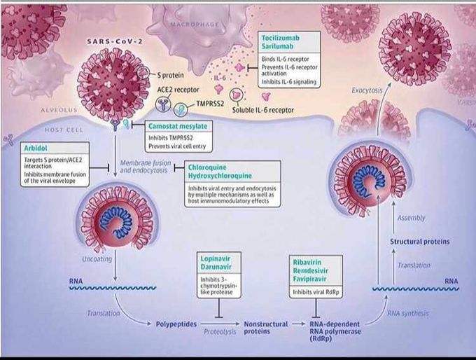 CORONAVIRUS