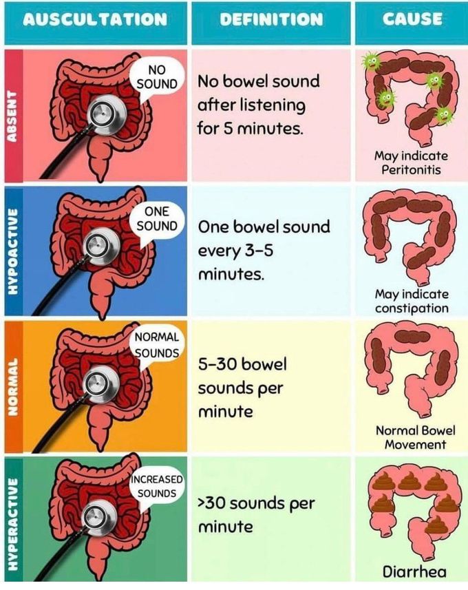 Gut Sounds