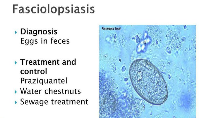 Treatment for Fasciolopsiasis