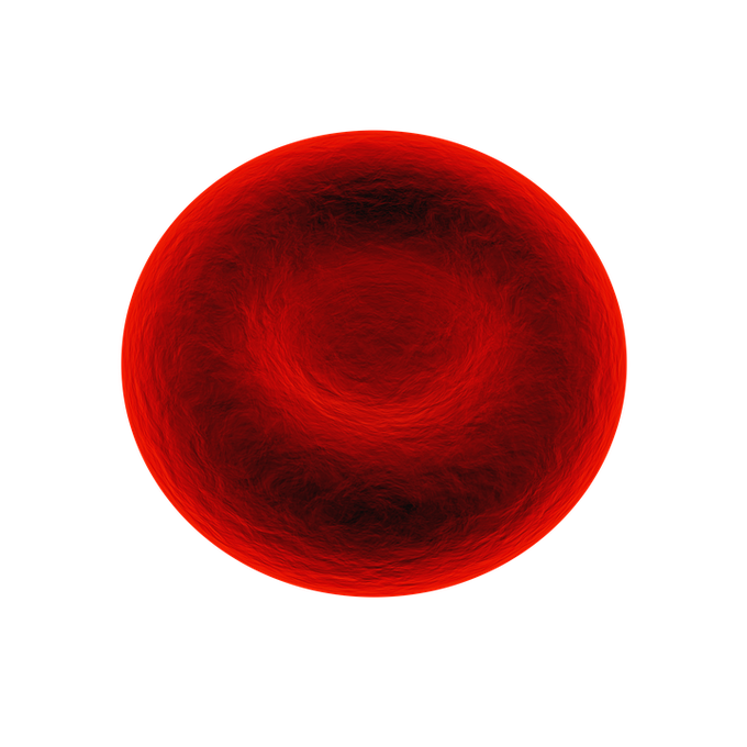 Red blood cell