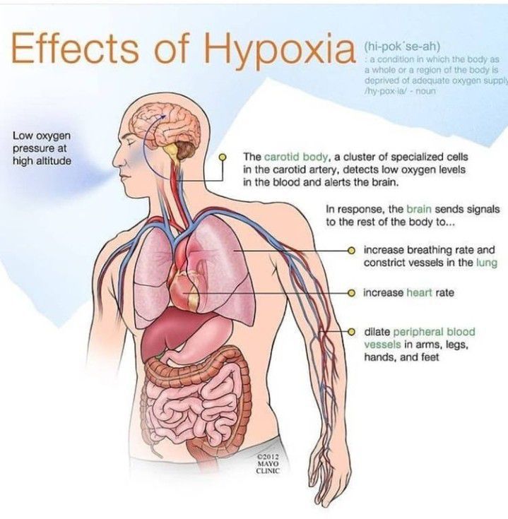 Effects of hypoxia