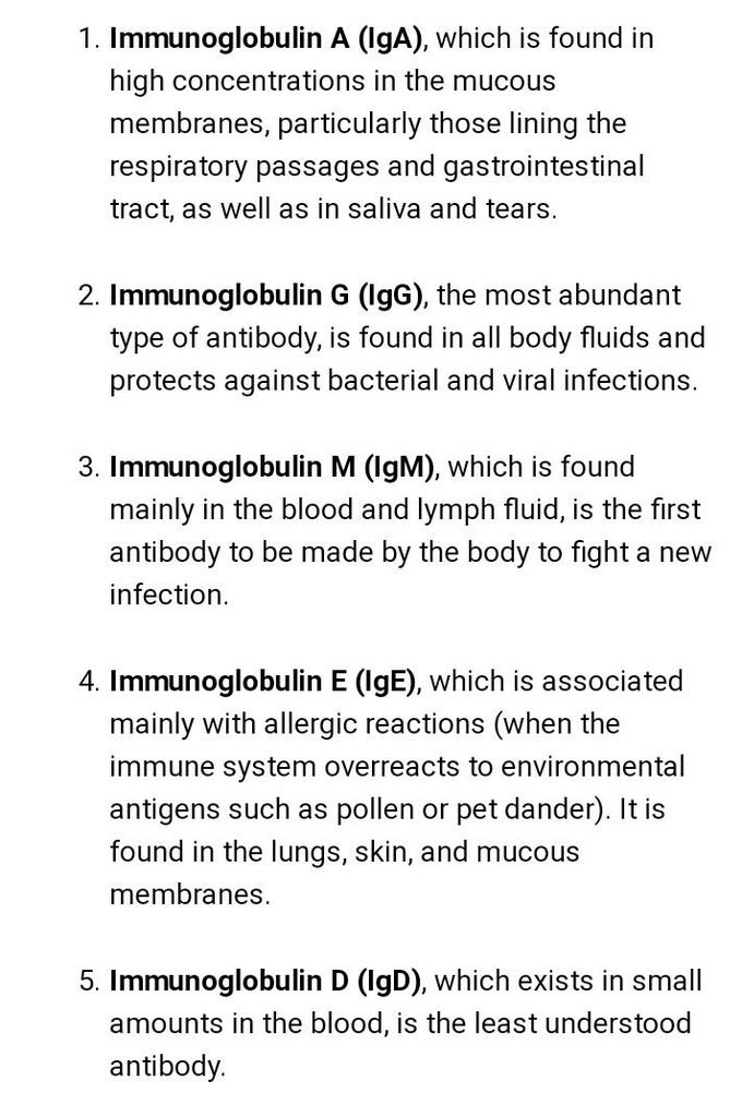 Immunoglobulin MEDizzy