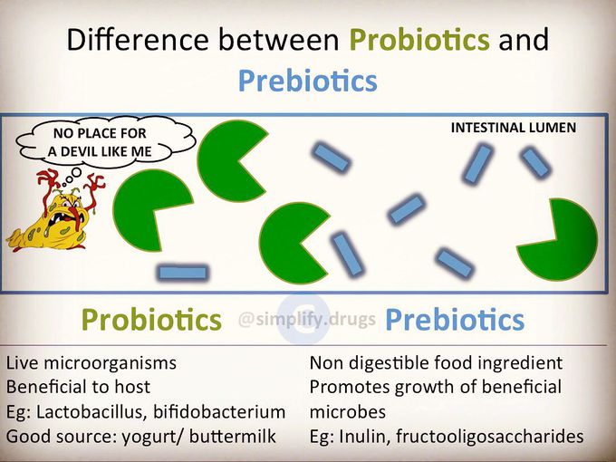 MEDizzy - Probiotics vs prebiotics