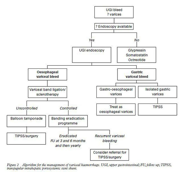 Gastointestimal Bleeding